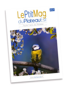Le Ptit Mag du Plateau Est 17 - Mars-avril 2020