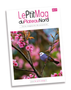 Le Ptit Mag du Plateau Nord 17 - Mars-avril 2021
